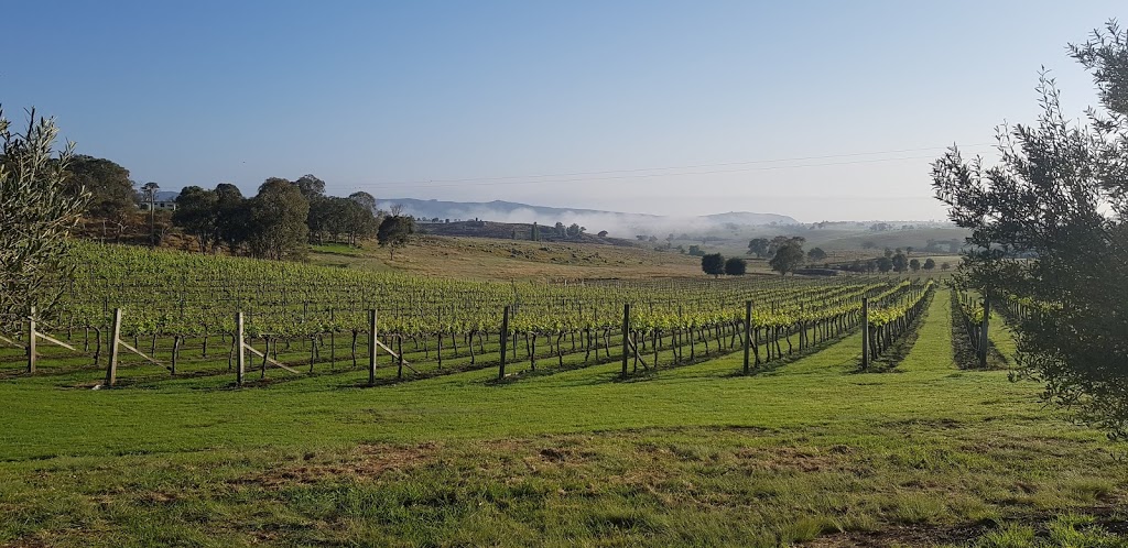 Kurrajong Downs Winery & Vineyard | Casino Rd, Tenterfield NSW 2372, Australia | Phone: (02) 6736 4590