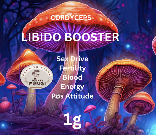 Mighty Fungi | 92651 Bruce Hwy, Balberra QLD 4740, Australia | Phone: 0404 624 956