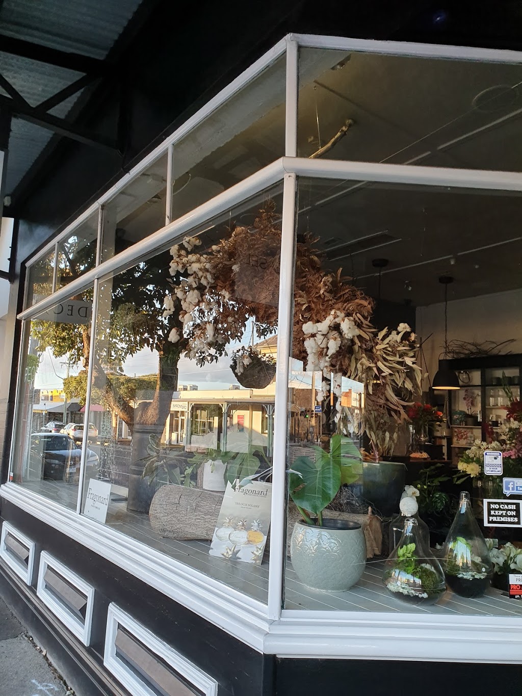 Peony & Weasel Flower Co | 333 Pakington St, Newtown VIC 3220, Australia | Phone: (03) 5223 1459