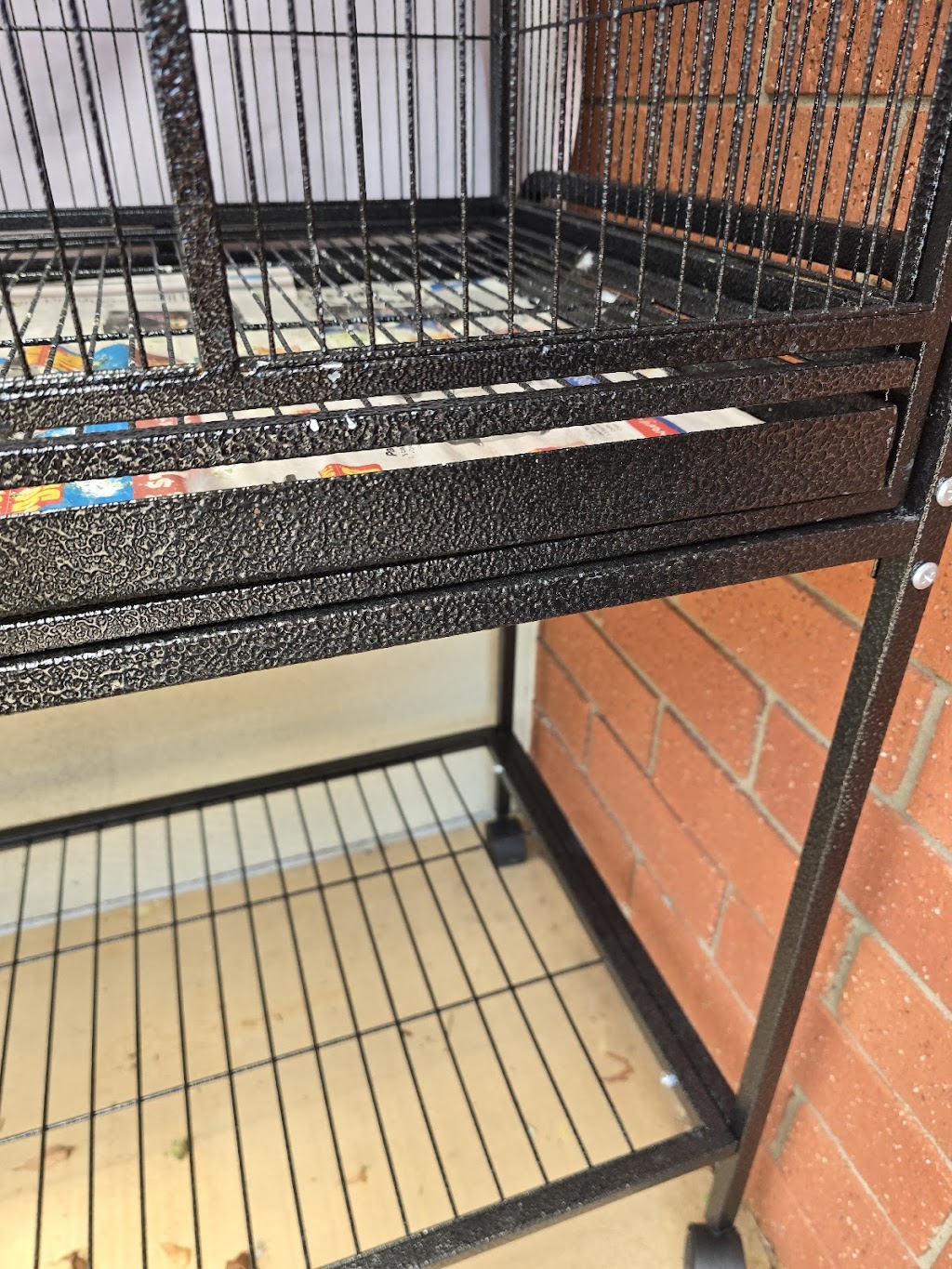 East Coast Pet Supplies | Campus Tech Park, Unit 9/17/19 University Dr, Meadowbrook QLD 4131, Australia | Phone: 0448 973 969