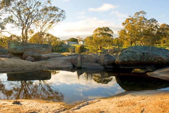 Mimosa Glen Homestead | lodging | 2415 Lancefield-Tooborac Rd, Tooborac VIC 3522, Australia | 0354335346 OR +61 3 5433 5346