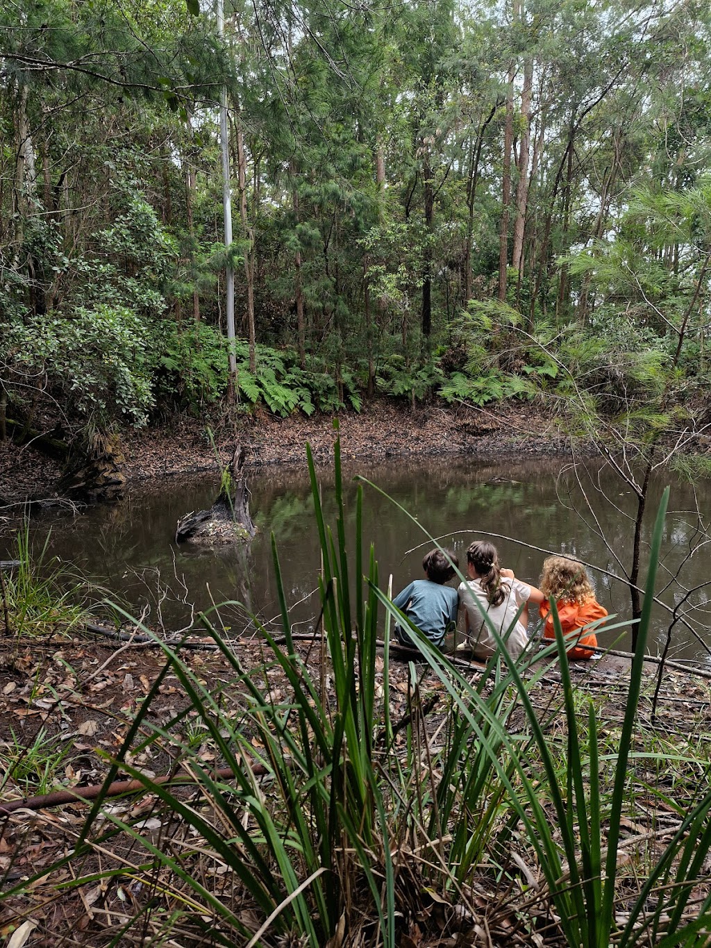 Bushling Nature Play | 167 North Rd, Lower Beechmont QLD 4211, Australia | Phone: 0450 335 628