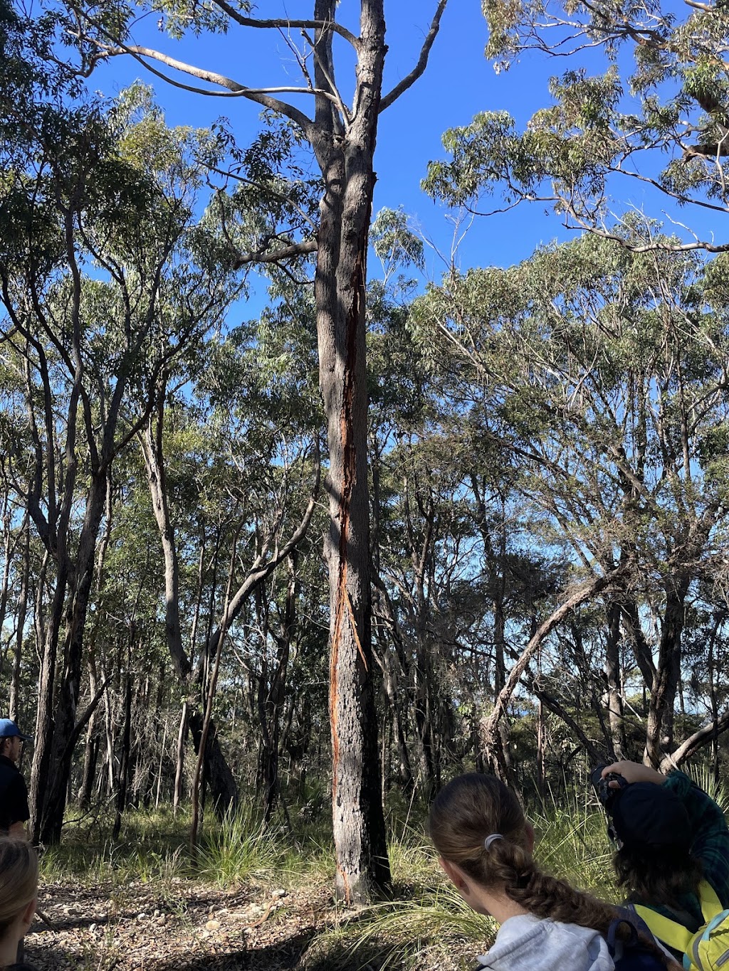 Pittwater Eco Adventures | 33 Scenic Dr, Manly NSW 2095, Australia | Phone: 0436 808 528