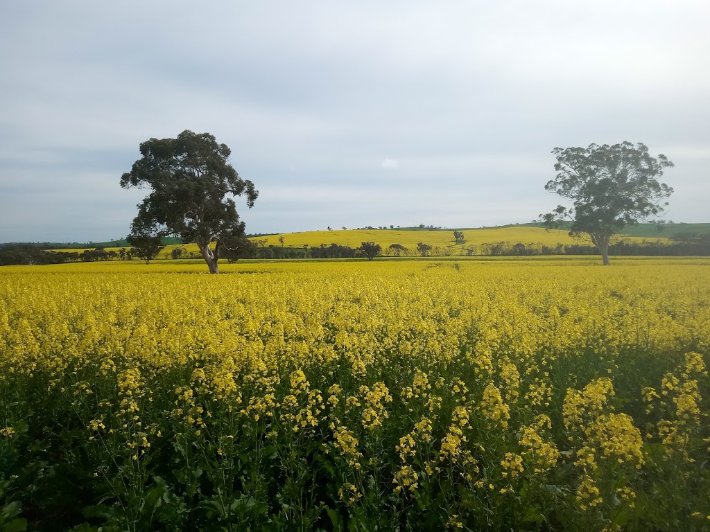 Quellington School House Farmstay | 835 Sees Rd, Quellington WA 6302, Australia | Phone: 0428 149 909