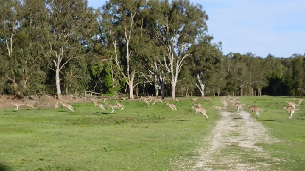 Coombahah Park Car Park | park | Coombabah QLD 4216, Australia