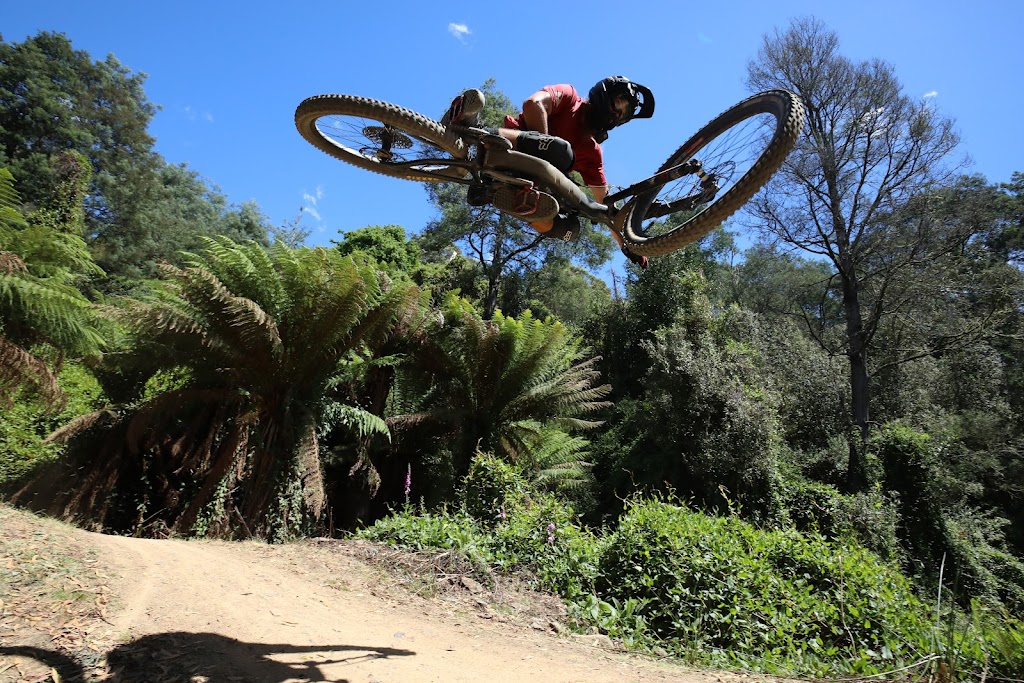 Up Down Around MTB | 30 Main St, Derby TAS 7264, Australia | Phone: 0487 379 643