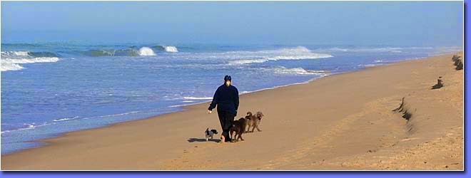 Ninety Mile Beach Escape | lodging | 15-17 Fairway Ave, Golden Beach VIC 3851, Australia | 0351463111 OR +61 3 5146 3111