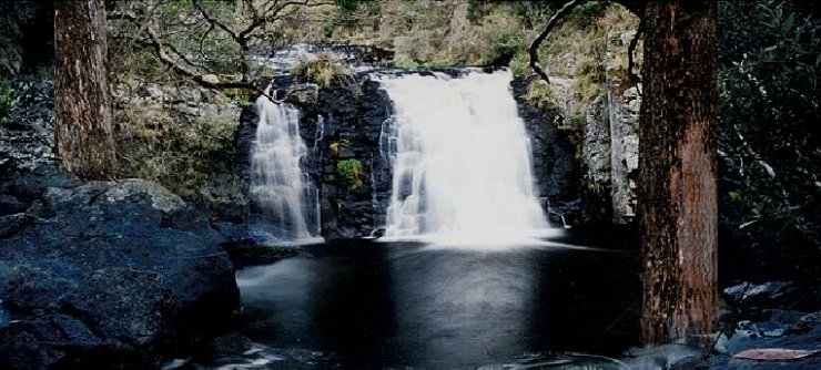 Moffat Falls Cottage | 550 Point Lookout Rd, Ebor NSW 2453, Australia | Phone: 0455 347 600