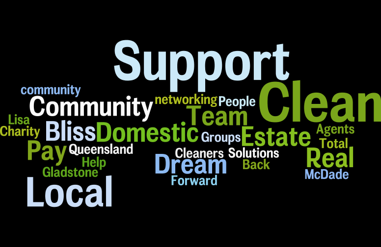 Domestic Bliss Total Solutions | 11 Connolly Ct, Gladstone QLD 4680, Australia | Phone: 0432 018 558