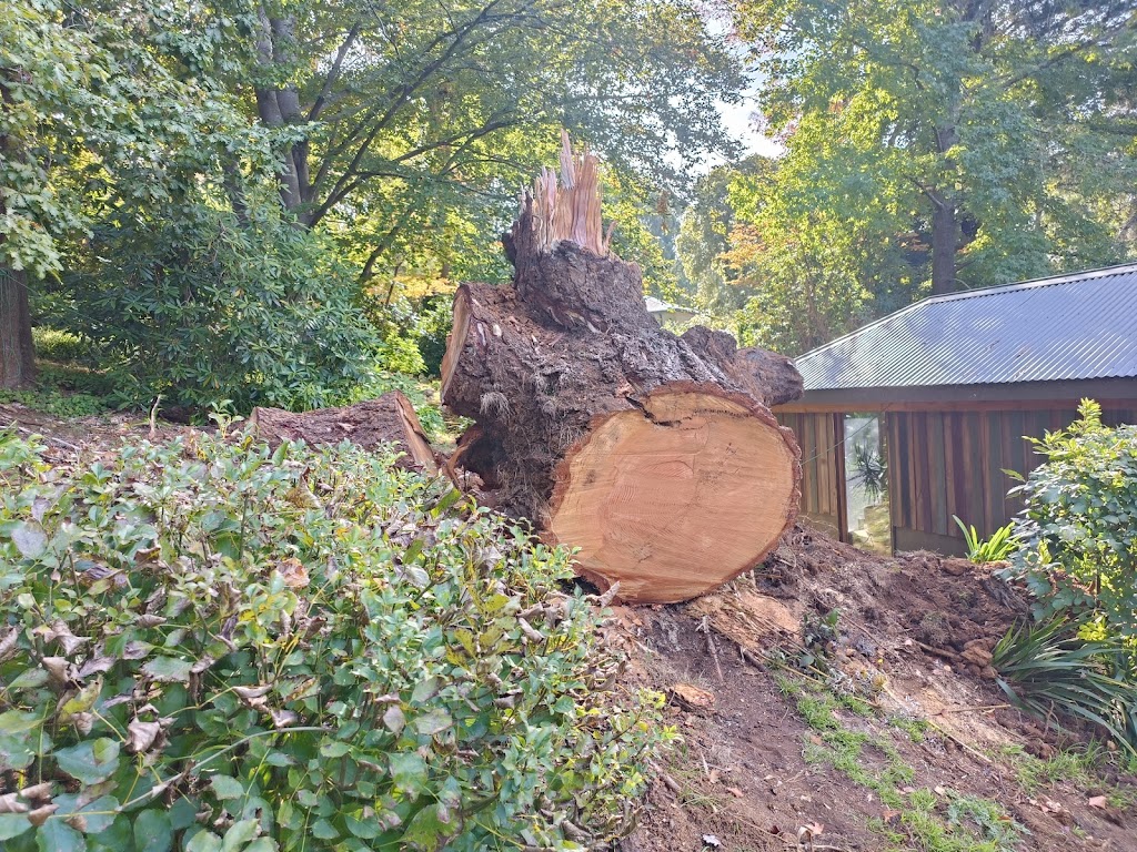 The Stump Grinder Man | Beaconsfield-Emerald Rd, Emerald VIC 3782, Australia | Phone: 0409 331 122