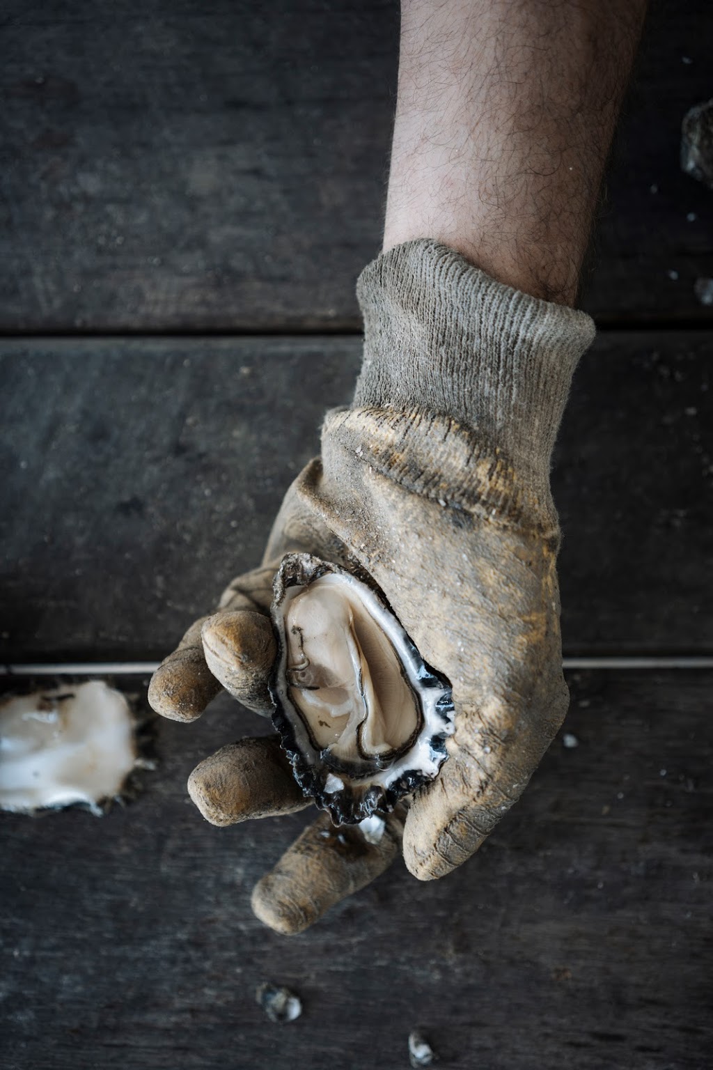 Port Pearler Oysters | 9 Sandfly Alley, Riverside NSW 2444, Australia | Phone: 0409 908 945