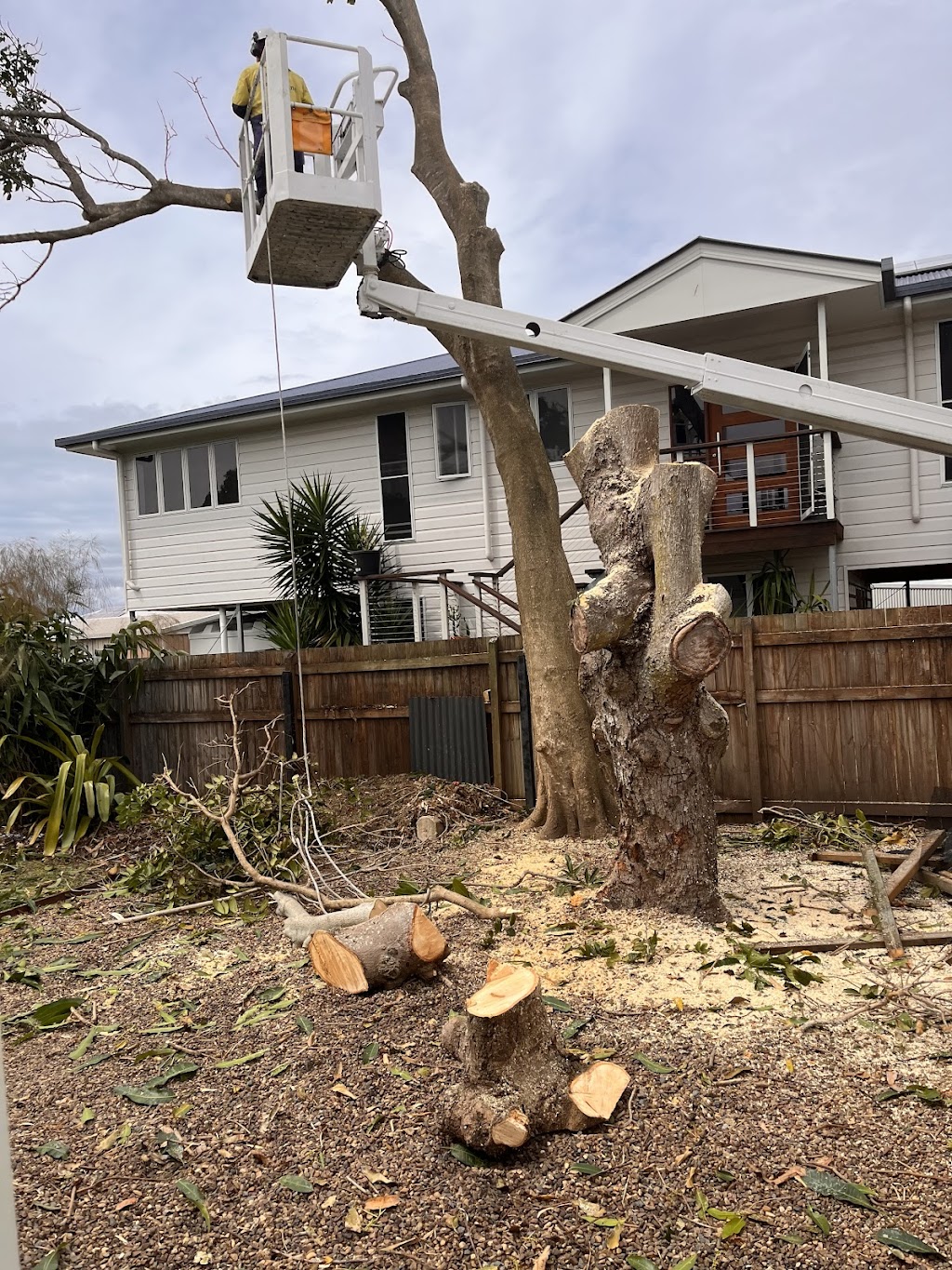 Geoffs Tree Lopping Hervey Bay |  | 3 Namwen Ct, Pialba QLD 4655, Australia | 0409412870 OR +61 409 412 870