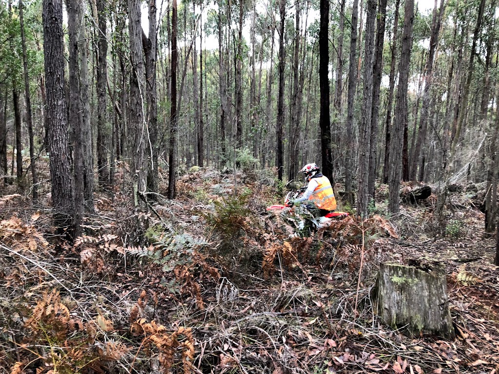 Aussie Dirtbike Tours | 8 school road, Erica VIC 3825, Australia | Phone: 0475 669 243