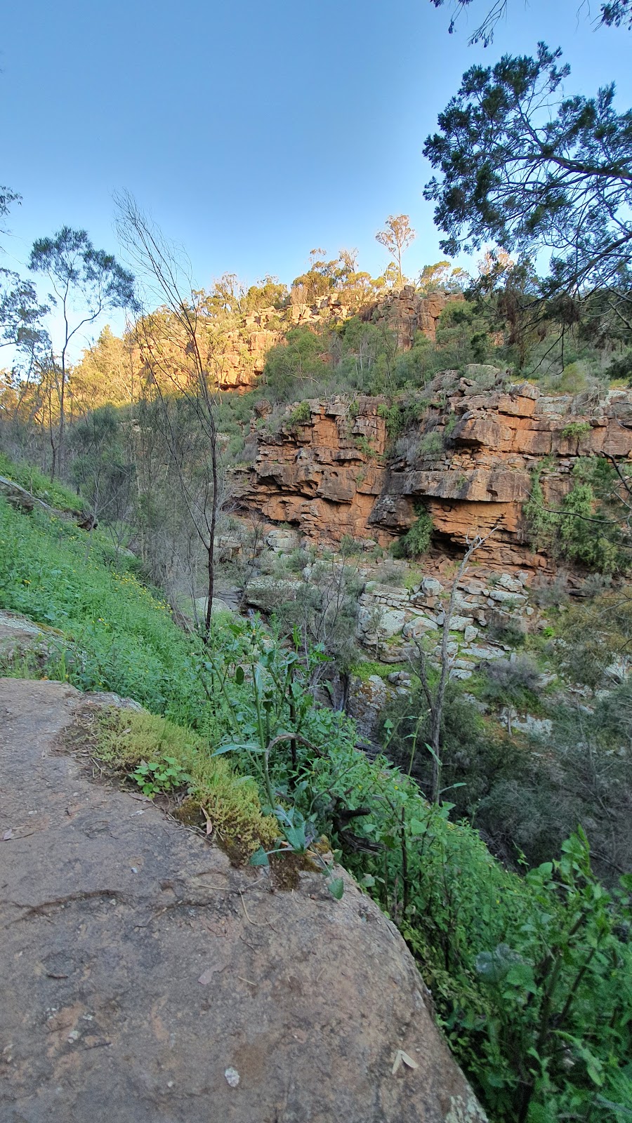 Berthas Gully | park | Berthas Gully Walking Track, Piney Range NSW 2810, Australia
