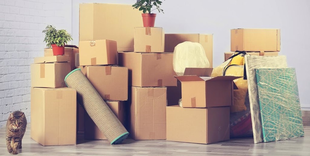 Delicate Removals | moving company | 302 Arden St, Coogee NSW 2034, Australia | 0452395633 OR +61 452 395 633