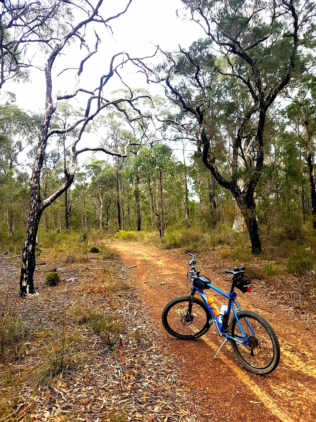 Castlereagh Nature Reserve | park | Berkshire Park NSW 2765, Australia