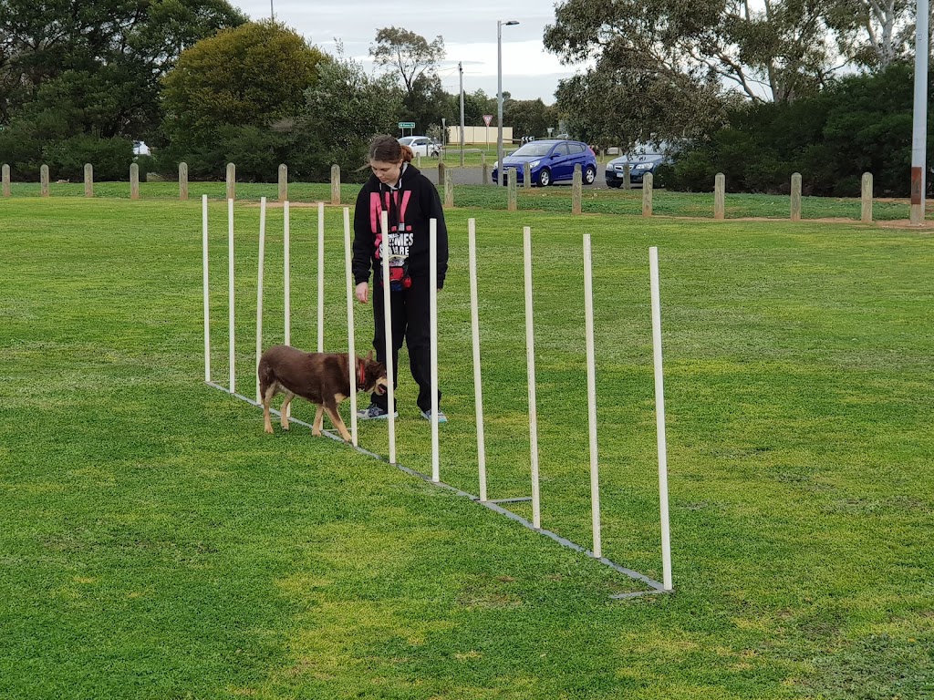 Werribee Obedience Dog Club | 720 Heaths Rd, Wyndham Vale VIC 3024, Australia | Phone: (03) 9742 2277