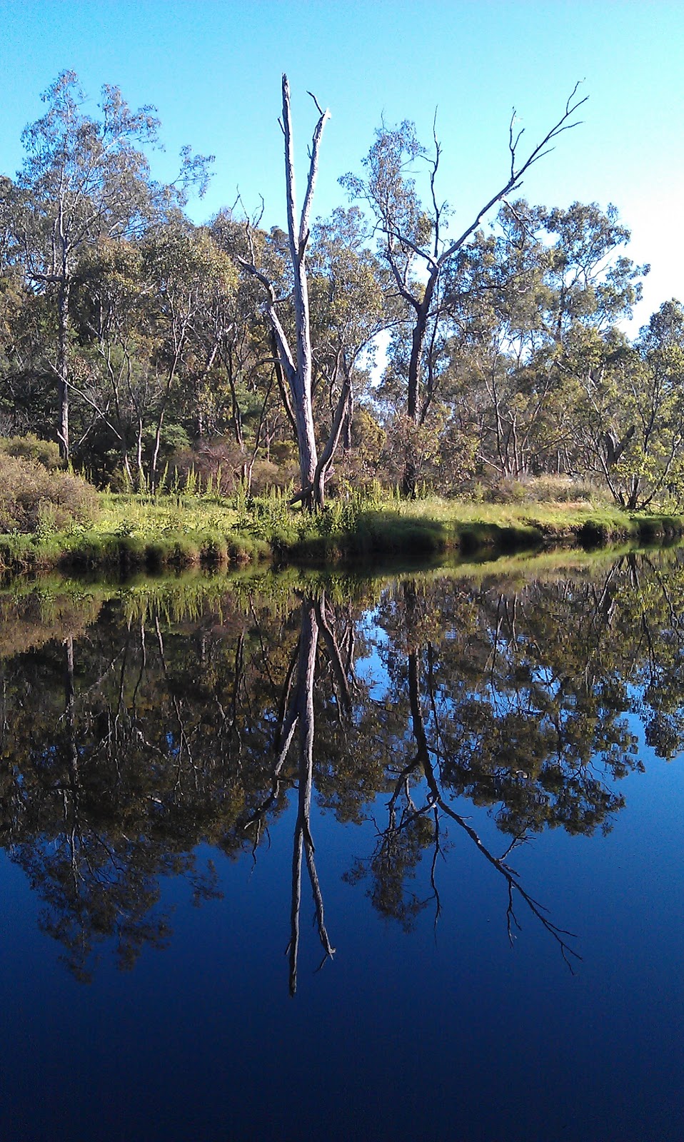 Tweed Valley Lodge | lodging | 171 Tweed Rd, Bridgetown WA 6255, Australia | 0897612828 OR +61 8 9761 2828