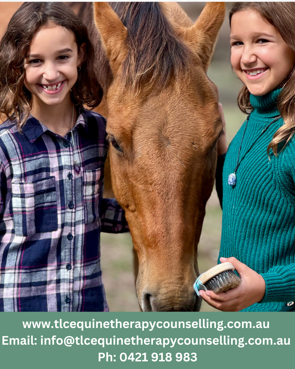 TLC Equine Assisted Therapy & Counselling | 284 Eltham-Yarra Glen Rd, Kangaroo Ground VIC 3097, Australia | Phone: 0421 918 983