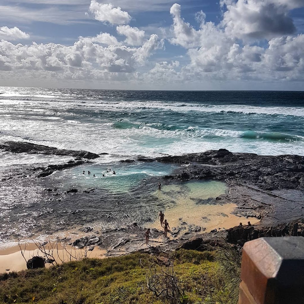 Dingos Fraser Island 4WD Tours | 20 Spectrum St, Rainbow Beach QLD 4581, Australia | Phone: (08) 8131 5750