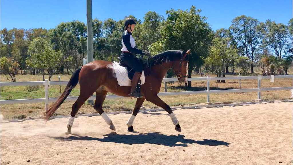 PVS Training & Equine Services | 86 Reibels Rd, Bowen QLD 4805, Australia | Phone: 0407 580 894