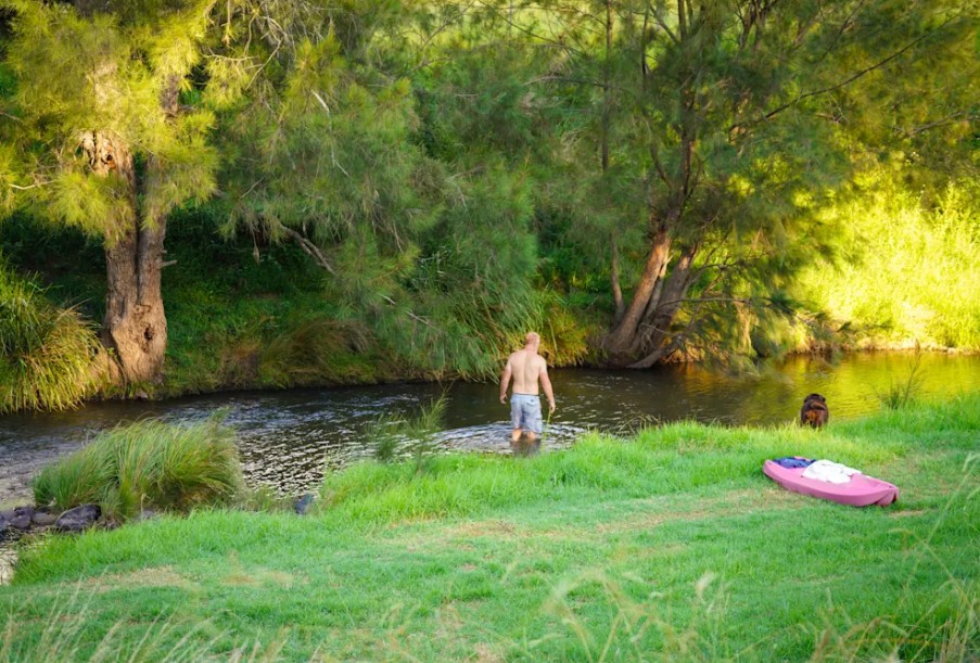 Wynola Country Cousins | 586 Condamine River Rd, Killarney QLD 4373, Australia | Phone: 0419 866 268