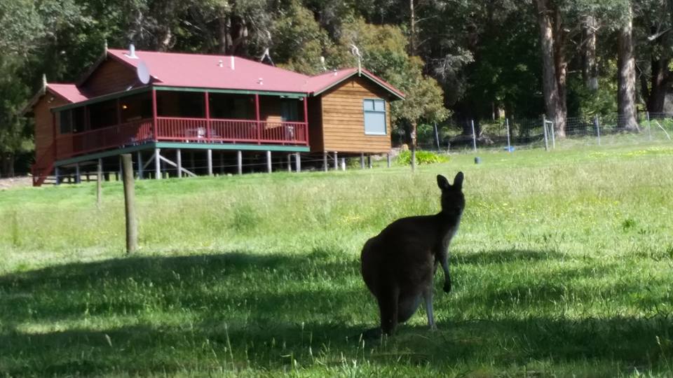 Walpole Wilderness Resort | lodging | 170 Gardiner Rd, Walpole WA 6398, Australia | 0898401481 OR +61 8 9840 1481