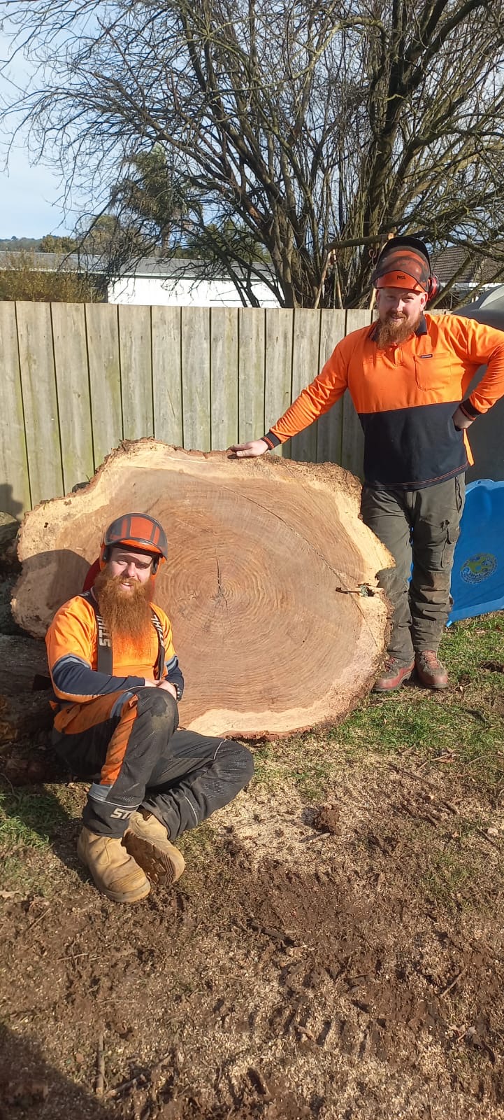 Pat’s Timber and Tree Services | 40 Ridge Bvd, Yinnar VIC 3869, Australia | Phone: 0468 939 833