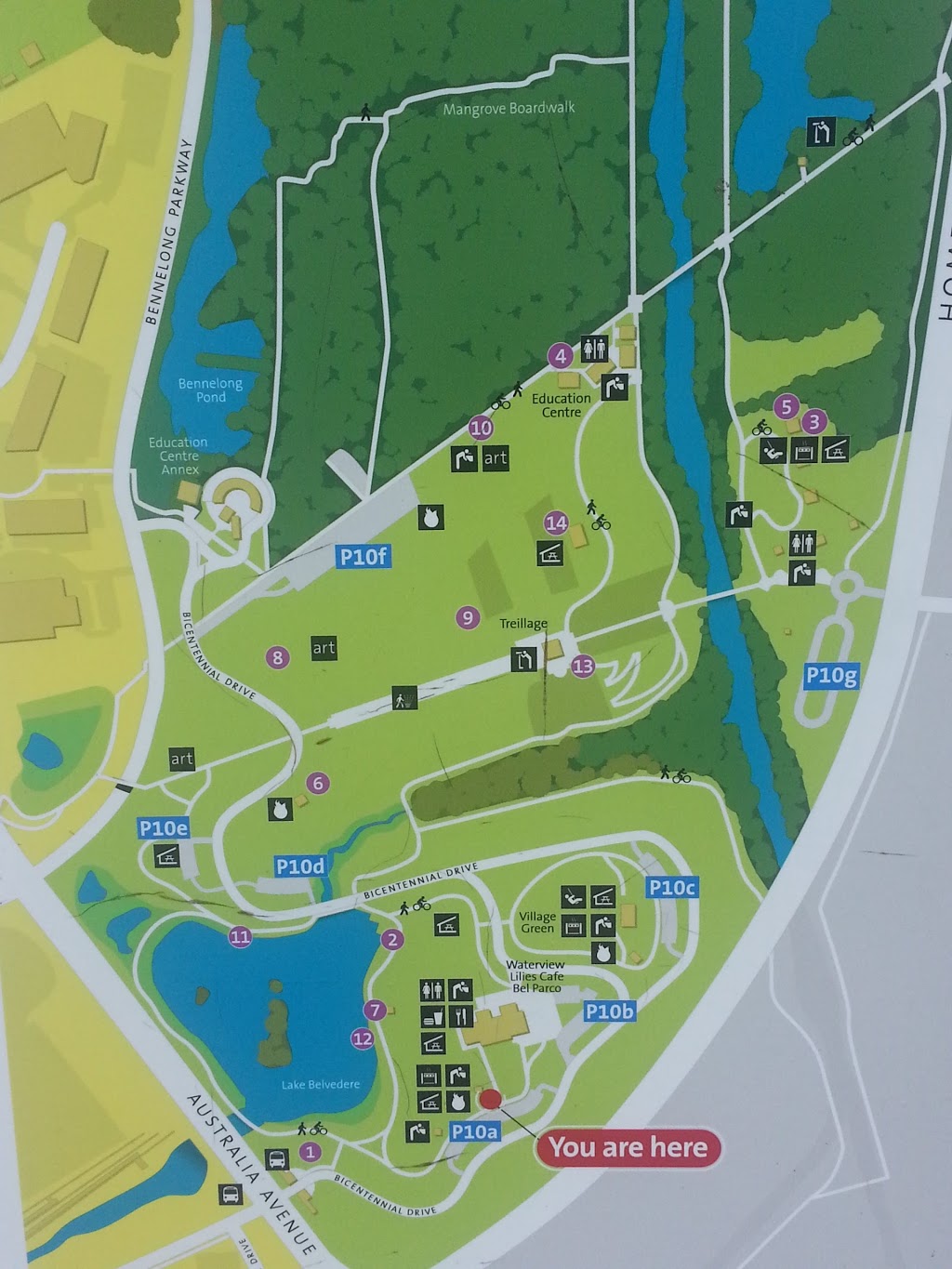 Jetty In Lake Belvedere/ Bicentennial Park | park | Off Bicentennial Dr, Sydney Olympic Park NSW 2127, Australia | 0297147888 OR +61 2 9714 7888