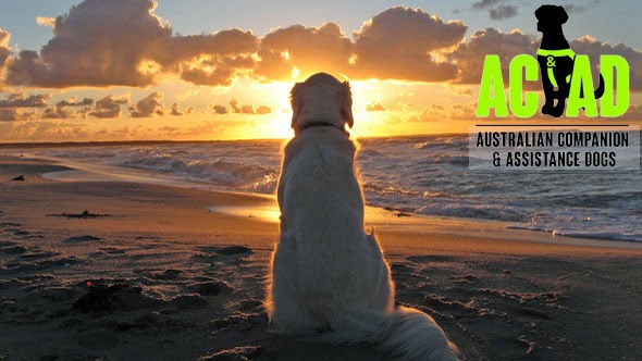 Australian Companion & Assistance Dogs |  | 136 Verrierdale Rd, Verrierdale QLD 4762, Australia | 0400440526 OR +61 400 440 526