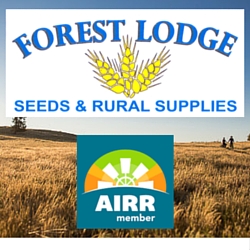 Forest Lodge Seeds & Rural Supplies | store | 85 Chantry St, Goulburn NSW 2580, Australia | 0248214000 OR +61 2 4821 4000