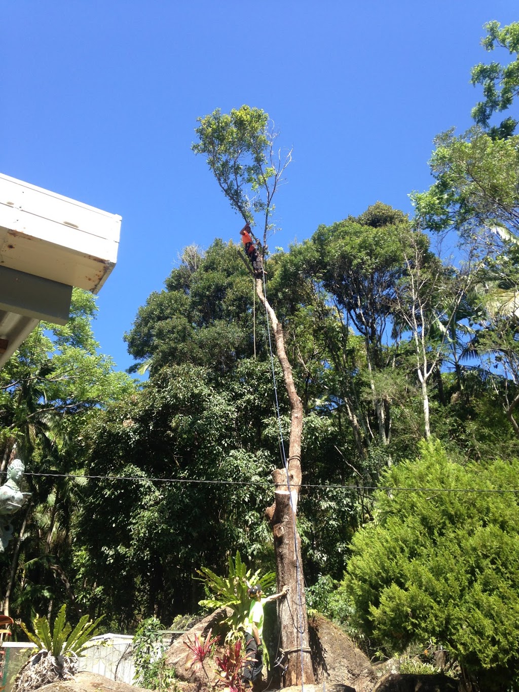 Vertex Tree Services |  | 35 Tinderbox Rd, Talofa NSW 2481, Australia | 0428715886 OR +61 428 715 886