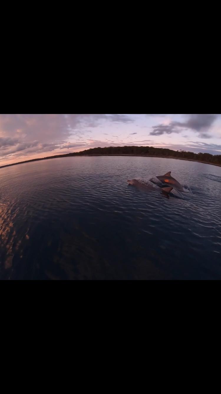 Gadu Aboriginal Charter Boat | 20 Peacehaven Way, Sussex Inlet NSW 2540, Australia | Phone: 0476 154 095