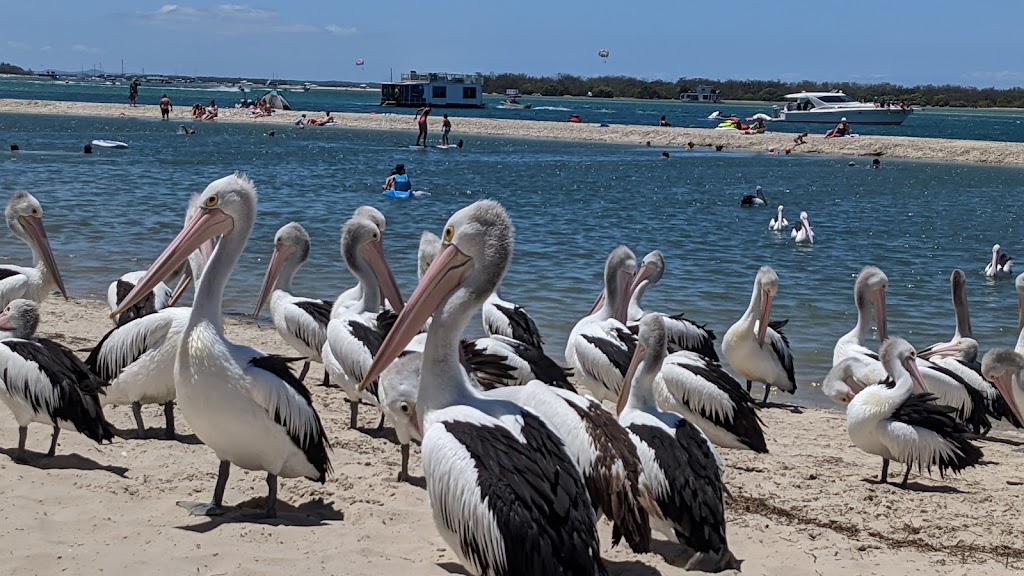 Harley Park Public Boat Ramp | Marine Parade, Labrador QLD 4215, Australia | Phone: (07) 5581 6000