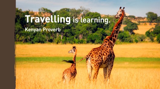 Africa Calls Travel & Safari | travel agency | 32 La Fayette Blvd, Bibra Lake WA 6163, Australia | 0436431744 OR +61 436 431 744