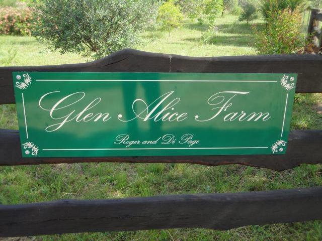 Glen Alice Farm | lodging | 105 Huntingdale Rd, Glen Alice NSW 2849, Australia | 0263797777 OR +61 2 6379 7777
