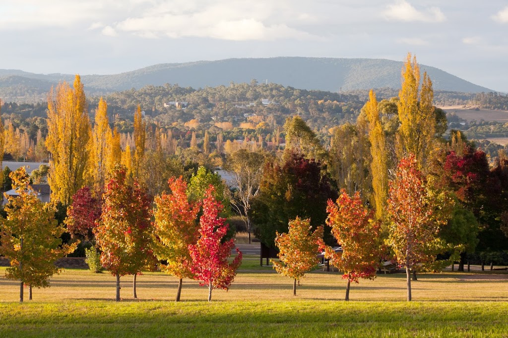 Armidale Visitor Information Centre | 82 Marsh St, Armidale NSW 2350, Australia | Phone: (02) 6770 3888