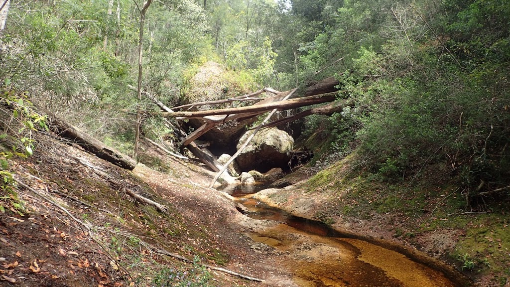Newbys Creek Walk & Caves | gym | Newbys Creek Rd, Lansdowne Forest NSW 2430, Australia