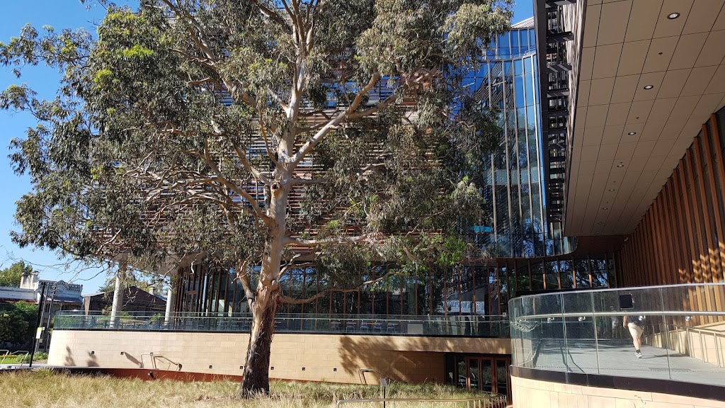 Abercrombie Building (H70) | Darlington Ln & Abercrombie St, Darlington NSW 2008, Australia | Phone: (02) 9351 2222