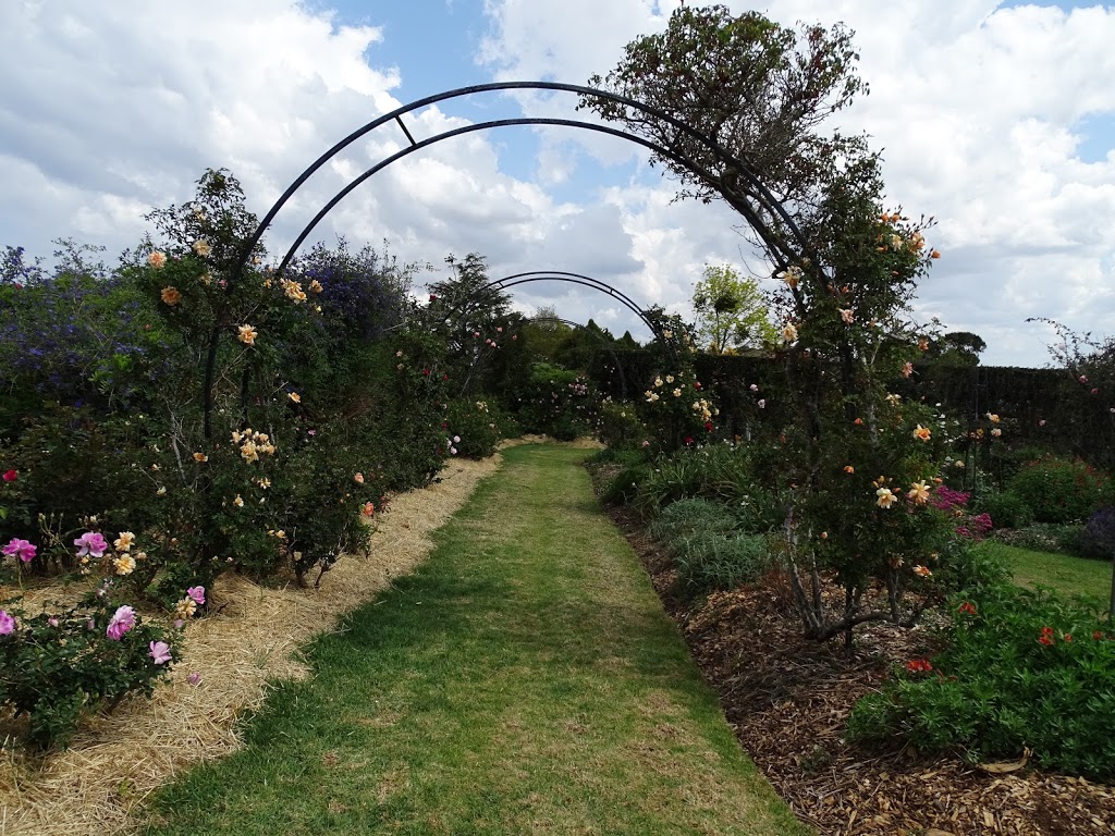 Brindabella Country Gardens Roses | 17 Quinlan Rd, Blue Mountain Heights QLD 4350, Australia | Phone: (07) 4696 8440