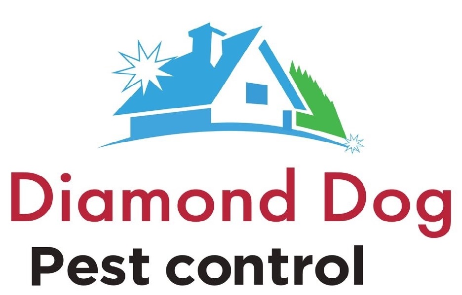 https://www.diamonddogpestcontrol.com/ | home goods store | 97 Gisborne St, Wellington NSW 2820, Australia | 0268451171 OR +61 2 6845 1171
