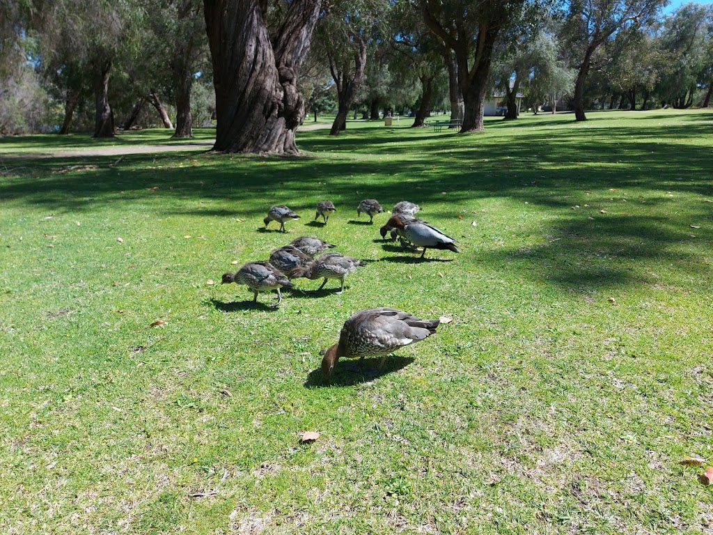 McNess House Visitor Centre and Gift Shop | Yanchep WA 6035, Australia | Phone: (08) 9303 7759