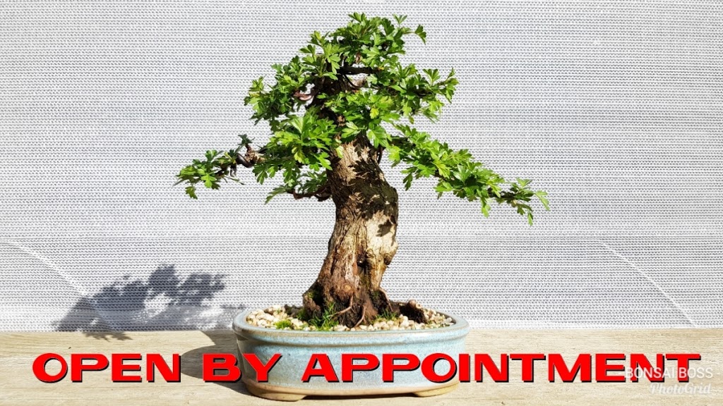 Heritage Bonsai Tasmania Shofu-en OPEN BY APPOINTMENT | 10 Dysart Dr, Dysart TAS 7030, Australia | Phone: 0439 383 365