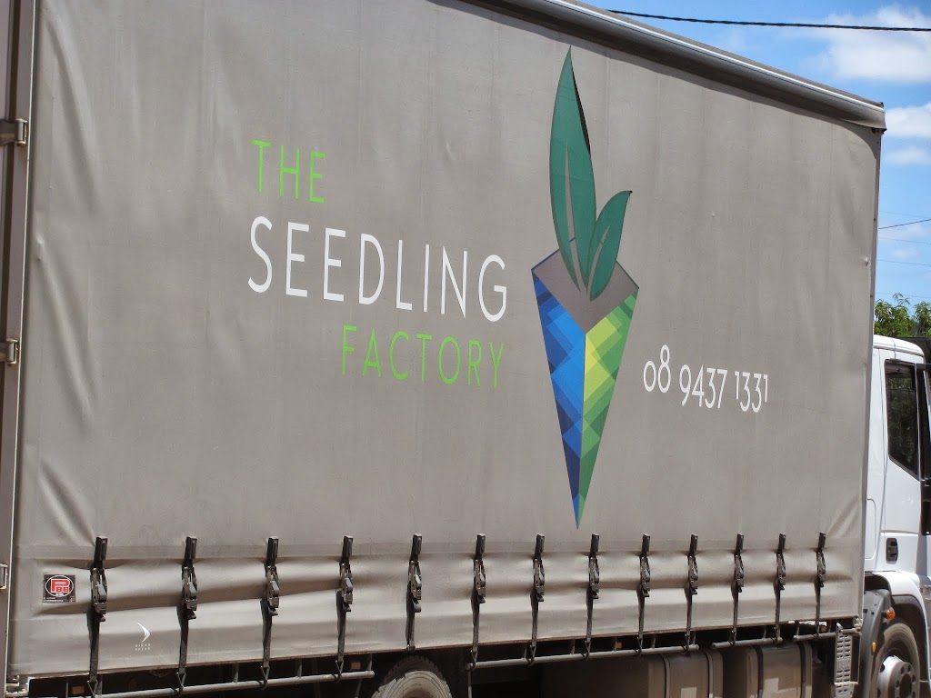 The Seedling Factory | Lot 553 Gossage Rd, Oldbury WA 6121, Australia | Phone: (08) 9437 1331