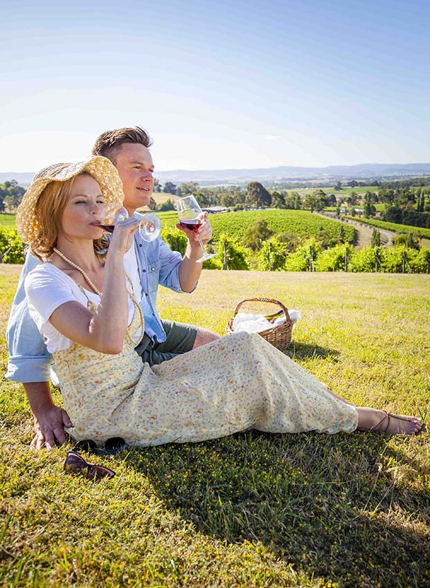 Yarra Valley Winery Tours | 17 Hightech Pl, Lilydale VIC 3140, Australia | Phone: 1300 496 766