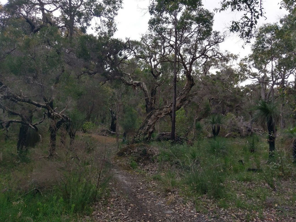 Kondil Wildflower Park | park | Unnamed Road, Barrabup WA 6275, Australia
