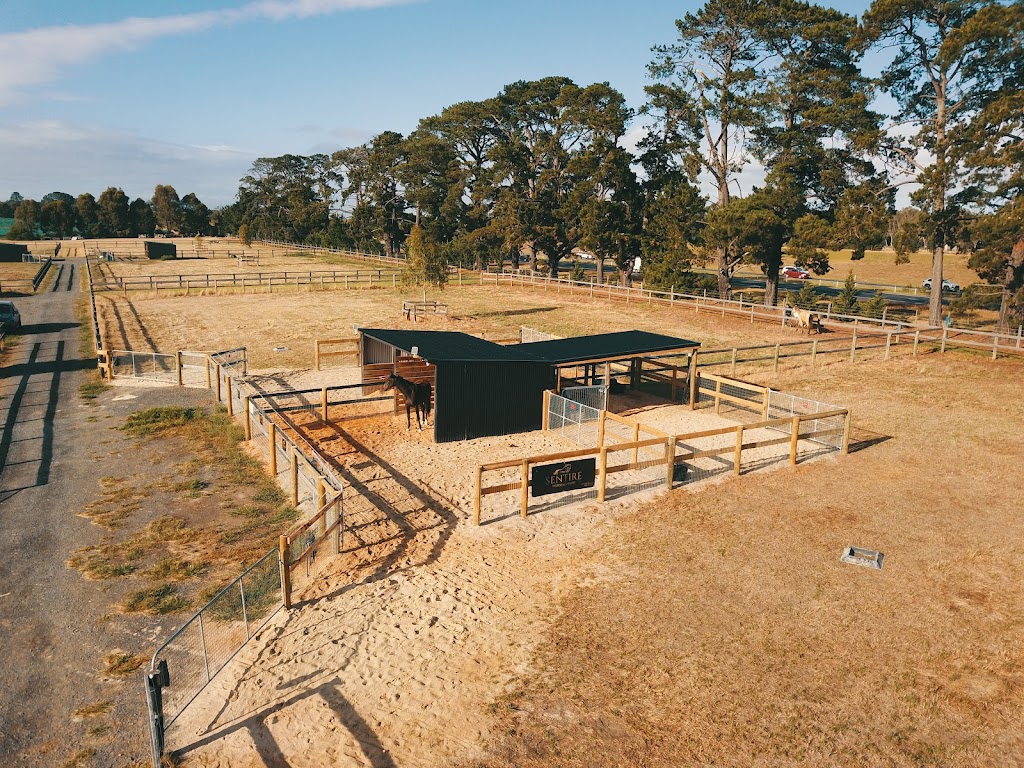 J & J Equine Solutions | 16 Bushy Park Ct, Drouin VIC 3818, Australia | Phone: 0411 373 324