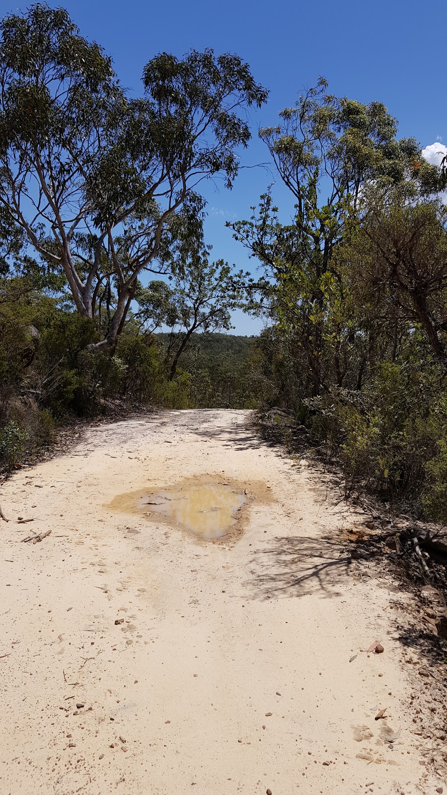 Canoelands Ridge Trail (Start) | park | 64 Canoelands Rd, Canoelands NSW 2157, Australia