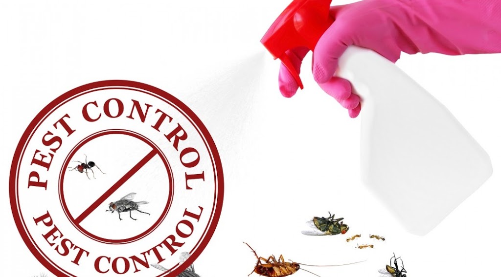 SES Pest Control Menai | home goods store | 85 Allison Cres, Menai NSW 2234, Australia | 0282945025 OR +61 2 8294 5025