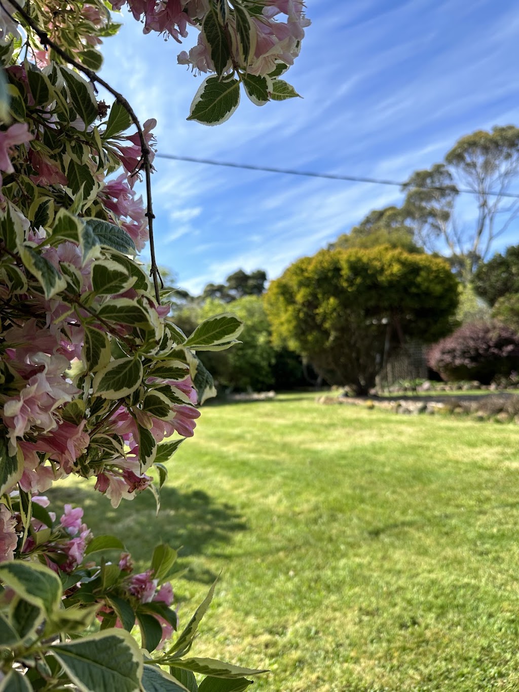 Two Twenty Two Farm Stay | 344 Robbins Rd, Lymwood TAS 7256, Australia | Phone: 0499 932 967